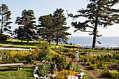 Ein Park mit Wegen und Gärten entlang der Küste; Kalifornien, Vereinigte Staaten von Amerika