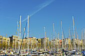 A Busy Harbour Full Of Sailboat Masts And Building Along The Waterfront; Barcelona, Spain