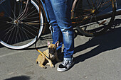 A Young Woman Standing Beside A Bicycle With Her Small Pet Dog On A Leash; Hamburg, Germany