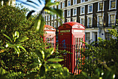 Red Telephone Booths In Primrose Hill; London, England