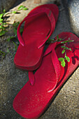 Rote Flip Flops; Ulpotha, Embogama, Sri Lanka