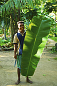 A Man Holding A Very Large Leaf; Ulpotha, Embogama, Sri Lanka