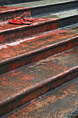 Flip Flops auf einer Treppe sitzend; Ulpotha, Embogama, Sri Lanka