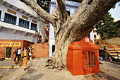 Fußgänger gehen auf der Straße in der Nähe der Ghats des Ganges; Varanasi, Indien