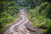 Rough Dirt Road In The Highlands Of Western Ethiopia; Ethiopia