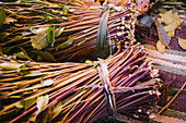 Qat For Sale In A Market Just Outside The Old City Of Harar In Eastern Ethiopia; Harar, Ethiopia