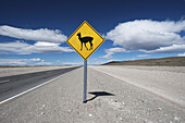 Schild mit Warnung vor Lama-Sichtungen entlang einer Straße; Argentinien