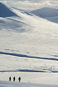 Drei Wanderer auf einer verschneiten Winterwanderung beim Abstieg vom Creag Pitridh, bei Laggan; Schottland.