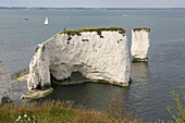 Weiße Kreidestapel von Old Harry von den Klippen entlang des South West Coast Path, nahe Studland; Dorset, England.