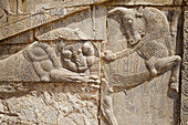 Flachreliefs von Löwe und Stier, Winterpalast des Dareios (Tashara); Persepolis, Iran.
