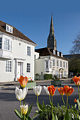 Kathedrale von Salisbury mit blühenden Tulpen im Vordergrund; Salisbury, Wiltshire, England