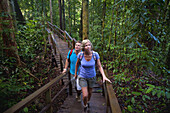 Tourist On Canopy Walk At Ulu Temburong National Park; Brunei