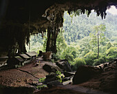 Mulu Mulu Höhlen; Sarawak
