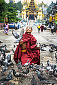 Mönch mit Tauben, mit Shwedagon-Tempel im Hintergrund; Yangoon, Myanmar