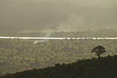 View From Hills Down To Plains Around The Shire River At Dusk; Malawi