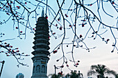 Garden Of Nan Pu Tuo Buddhist Temple; Xiamen, Fujian Province, China