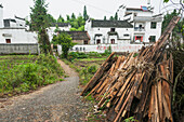 Ein Weg, der zu den Häusern einer Nachbarschaft in einem kleinen Dorf in der Nähe von Wuyuan führt; Provinz Jiangxi, China