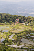 Terrassenförmige Reisfelder und Tongkonan, traditionelle Toraja-Ahnenhäuser, Batutumonga, Toraja-Land, Süd-Sulawesi, Indonesien