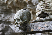 Skulls On A Wooden Coffin, Kete Kesu, Toraja Land, South Sulawesi, Indonesia