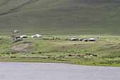 Gers (Jurten) am Orkhon-Fluss, Kharkhorin (Karakorum), vEvv?rkhangai-Provinz, Mongolei