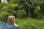 Junges Mädchen lehnt sich aus dem Auto und betrachtet eine alte Giraffe im Nyala Wildlife Park, in der Nähe von Chikwawa; Malawi