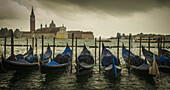 Eine Reihe von Gondeln im Kanal; Venedig, Italien