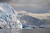 Icebergs In Neko Harbor, Antarctic Peninsula; Antarctica