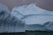 Iceberg Graveyard Behind Pleneau Island Near Lemaire Channel; Antarctica