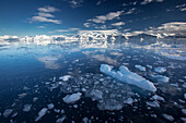 Iceflows In Gerlache Strait In Front Of Neko Harbor, Antarctic Peninsula; Antarctica