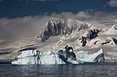 Icebergs In Gerlache Strait, Antarctic Peninsula; Antarctica