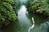 Aerial view of a boat carrying people down a river in Costa Rica; Costa Rica