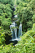 Series of waterfalls in the rainforest of Costa Rica; Costa Rica