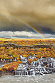 Hraunfossar Wasserfall und ein Regenbogen am Himmel unter Gewitterwolken, in der Nähe von Reykholt, im Westen Islands; Island