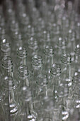 Close up of lined up glass bottles