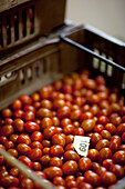 Close up of a plastic crate filled with mini plum tomatoes