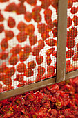 Close up of sun dried tomatoes on a drying mesh