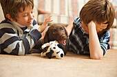 Zwei Jungen betrachten einen Schokoladen-Labradorwelpen, der an einem Stofftier kaut
