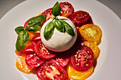 Nahaufnahme Stilleben frischer Caprese-Salat mit saftigen Tomaten, aufgeschlagenem Mozzarella und frischem Basilikum