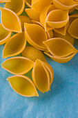 Close up of Conchiglie Pasta Shells