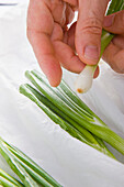 Man's Hands Holding Spring Onions