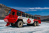 Specialized icefield truck on the Columbia Icefield, Glacier Parkway, Alberta, Canada, North America