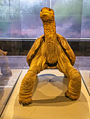 Preserved Galapagos giant tortoise (Chelonoidis spp), known as Lonesome George, Santa Cruz Island, Galapagos Islands, UNESCO World Heritage Site, Ecuador, South America