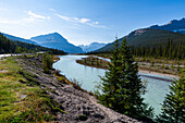 Athabasca-Fluss, Glacier Parkway, Jasper-Nationalpark, UNESCO-Weltnaturerbe, Alberta, Kanadische Rockies, Kanada, Nordamerika