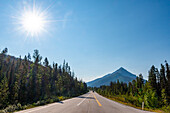 Glacier Parkway, Alberta, Kanada, Nordamerika