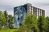 Gemälde eines Wolfshauses, Thompson, Manitoba, Kanada, Nordamerika