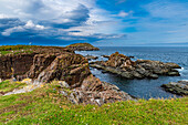 Puffin bird viewing site in Elliston, Bonavista Peninsula, Newfoundland, Canada, North America