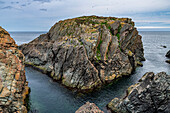 Tectonic plate rocks, Bonavista Peninsula, Newfoundland, Canada, North America