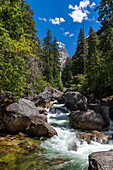 Merced River, Yosemite National Park, UNESCO World Heritage Site, California, United States of America, North America
