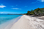 White sand beach in the Parque Nacional Marino de Punta Frances Punta Pedernales, Isla de la Juventud (Isle of Youth), Cuba, West Indies, Central America