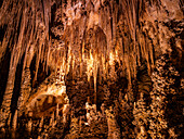 Inside the Big Room at Carlsbad Caverns National Park, UNESCO World Heritage Site, located in the Guadalupe Mountains, New Mexico, United States of America, North America